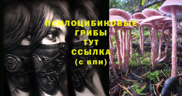 марки nbome Алексеевка