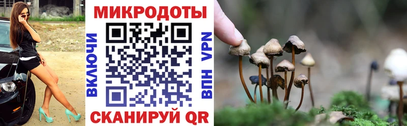 Галлюциногенные грибы прущие грибы  Лиски 